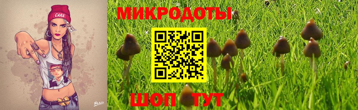 Псилоцибиновые грибы прущие грибы Ивантеевка