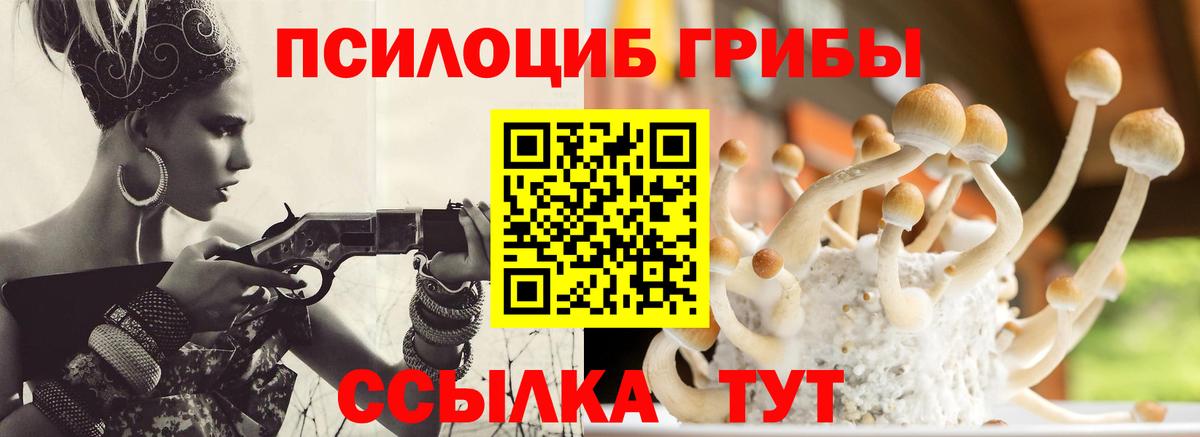 Псилоцибиновые грибы MAGIC MUSHROOMS  Вход с VPN  Ивантеевка 